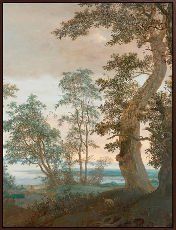 Canvas River Landscape - bilde 1 av 1