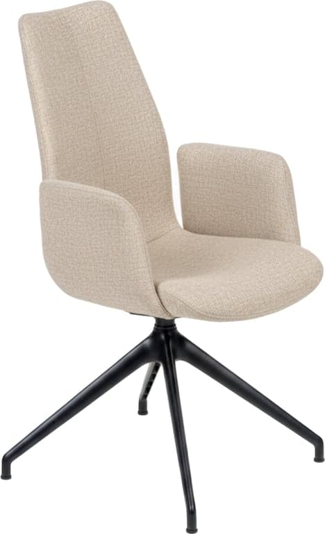 BS43101100-ARM-ARN-FUDGE