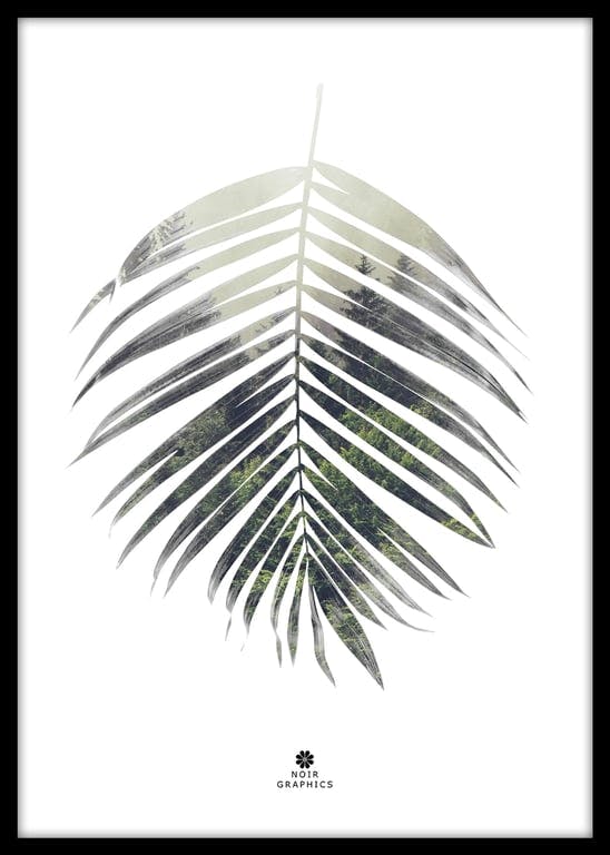 Bilde av Plakat Palm Leaf (50x70 cm med sort ramme)