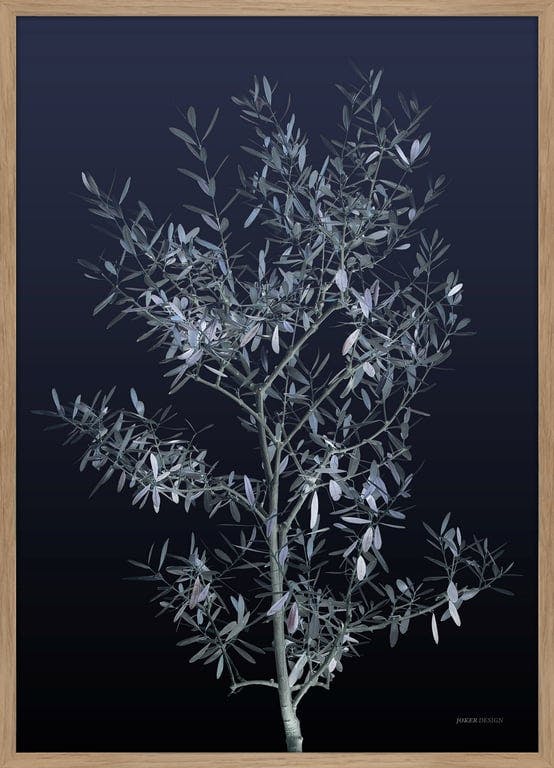 Bilde av Plakat Black Olive (50x70 cm sort ramme)