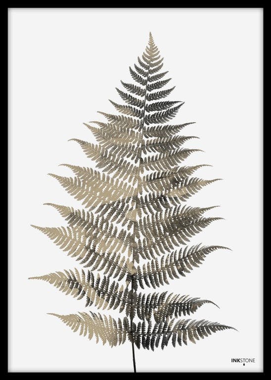 Bilde av Plakat Fern One (50x70 cm med sort ramme)