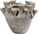 Pipe coral vase